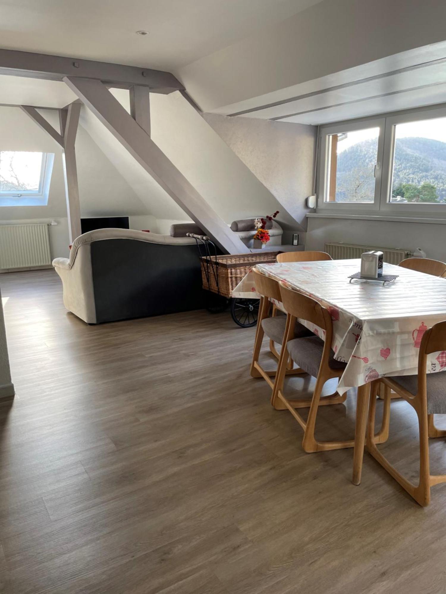 Gite Spacieux, Lumineux Et Tres Cosy Lautenbach Exteriör bild